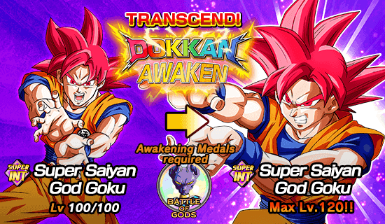 afbrudt ondsindet Eventyrer Battle of Gods"! | News | DBZ Space! Dokkan Battle Global