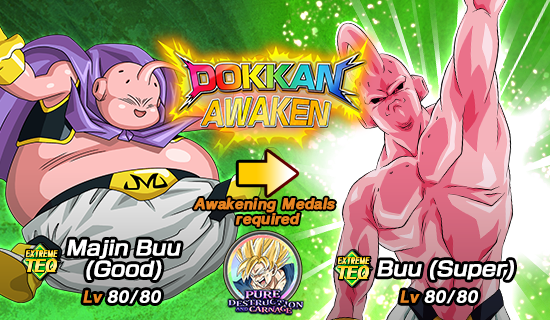 Dragon Ball Z Dokkan Battle - Worldwide Campaign PV: Majin Buu Saga Trailer  - IGN