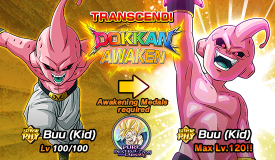 Cataclysmic Awakening] Majin Buu (Pure)