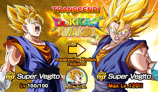 Supreme Fusion Blazing Potara