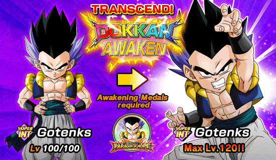 The Unparalleled Paragon of Hope News DBZ Space Dokkan