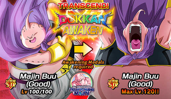 with this Episode Campaign : majin buu saga(Z)™ or maybe an ultimate Gohan  potentially(pun not intended) getting revealed tomorrow, we're gonna  finally get this PvP message? : r/DragonballLegends