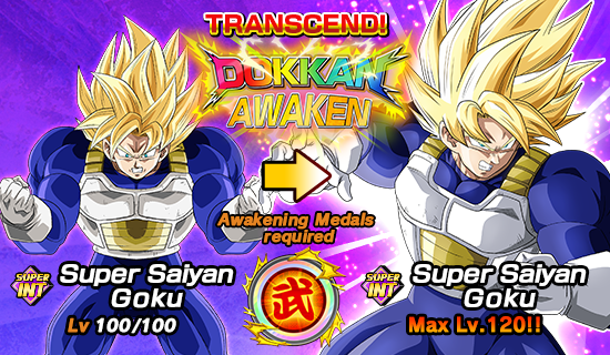 The 16th World Tournament Opens News DBZ Space Dokkan Battle