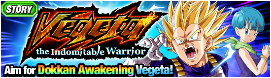 Indomitable Fighting Spirit Super Saiyan 2 Vegeta