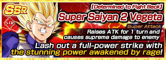 Stunning Power Super Saiyan 2 Vegeta