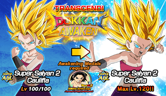 Tournament of Power Commencement News DBZ Space Dokkan