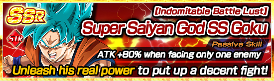 STR Character-Exclusive Summon! | News | DBZ Space! Dokkan Battle Global