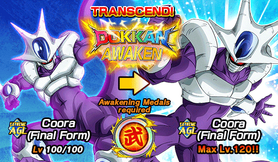 The 25th World Tournament Opens News DBZ Space Dokkan Battle