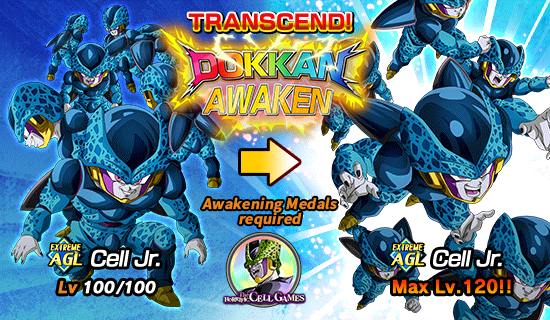 Dual Dokkan Festival