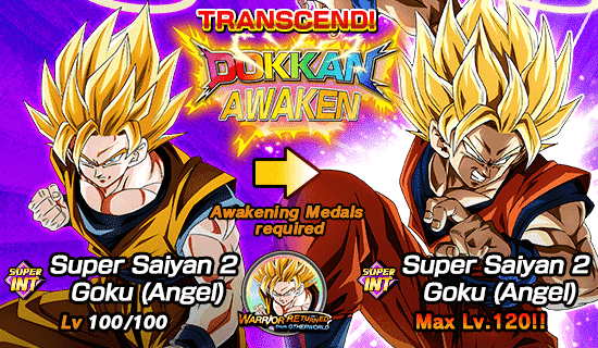 Awakened UR Indomitable Fighting Spirit - Super Saiyan 2 Vegeta Super TEQ