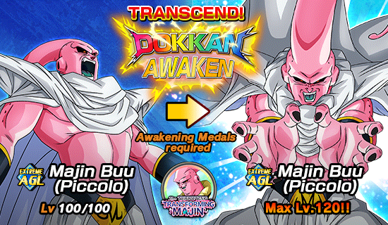 Dual Dokkan Festival