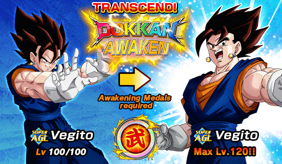 The 35th World Tournament Opens News DBZ Space Dokkan Battle